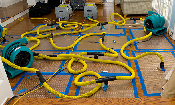 Professional Structural Drying And Dehumidification technician working in Payson, UT